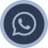 WhatsApp Icon